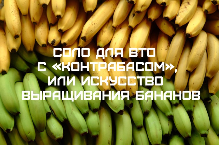 Соло для ВТО с «контрабасом», или Искусство выращивания бананов