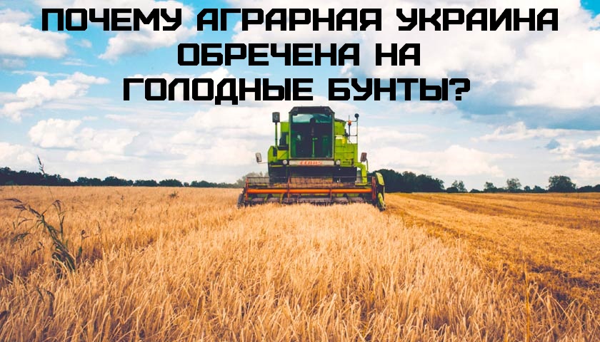 Почему аграрная Украина обречена на голодные бунты?
